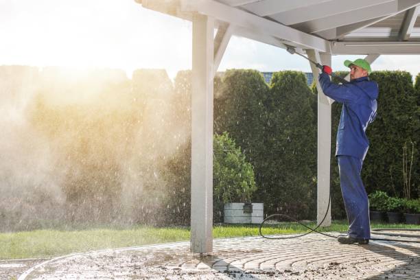 Best Sidewalk and Walkway Cleaning  in Shandon, CA