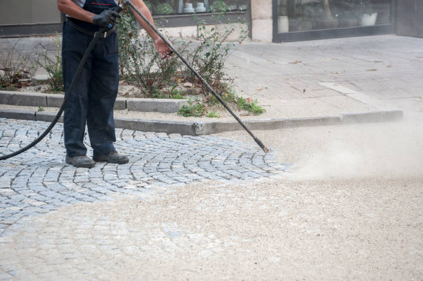 Best Driveway Pressure Washing  in Shandon, CA