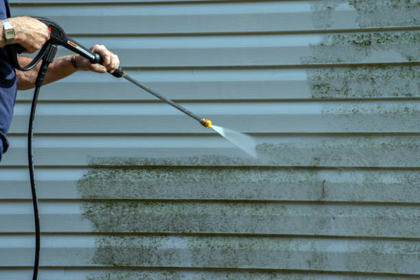 Best Fence Cleaning  in Shandon, CA